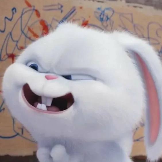 Thỏ Snowball phim lầy lội, hài hước chuẩn phim hoạt hình đình đám