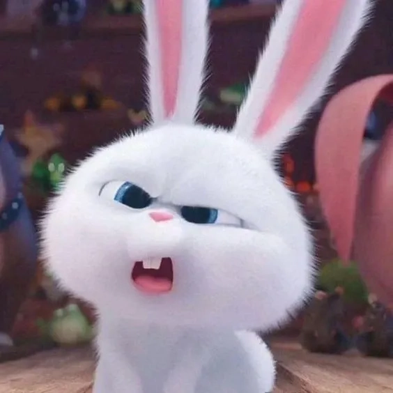 Rabbit Thỏ Snowball avatar phong cách cá tính siêu hút mắt