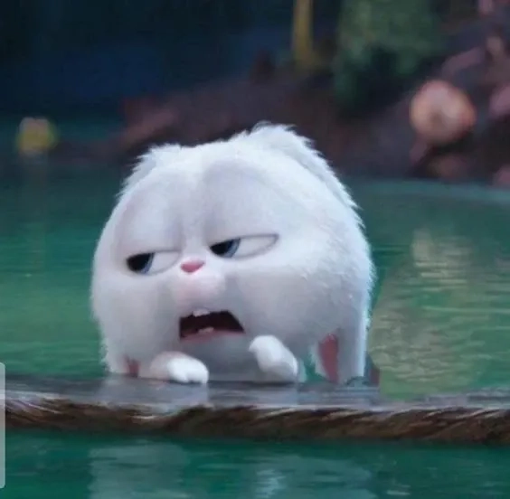 Avatar Thỏ Snowball đẹp mê, phù hợp mọi phong cách online