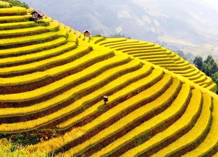 Điểm đến thung lũng mường hoa lào cai nổi tiếng