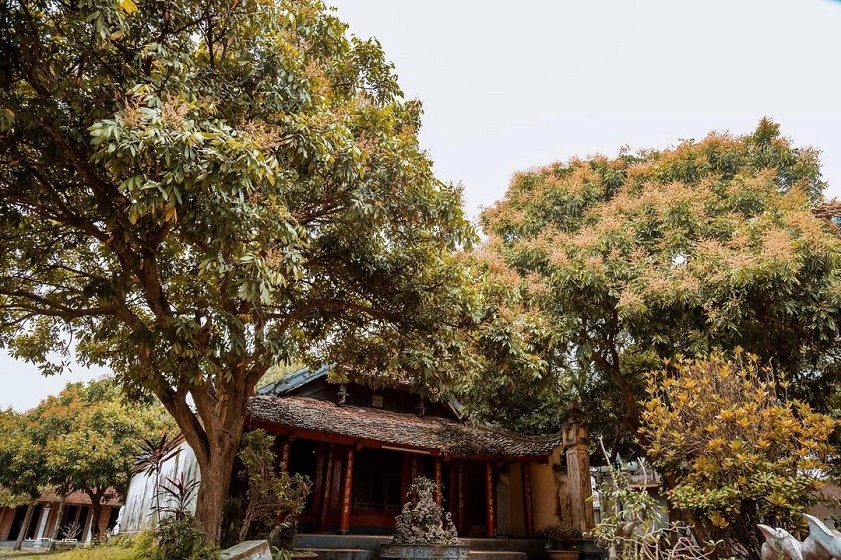 Kinh nghiệm đi lễ Chùa Đậu, nên đi buổi sáng đầu tháng