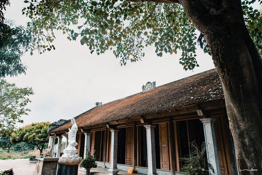 Chùa Đậu có gì đặc biệt, có tượng Thiền sư hóa thân