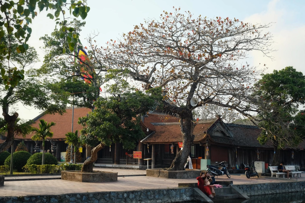Chùa Keo xây dựng năm nào, vào thời Lý thế kỷ XI