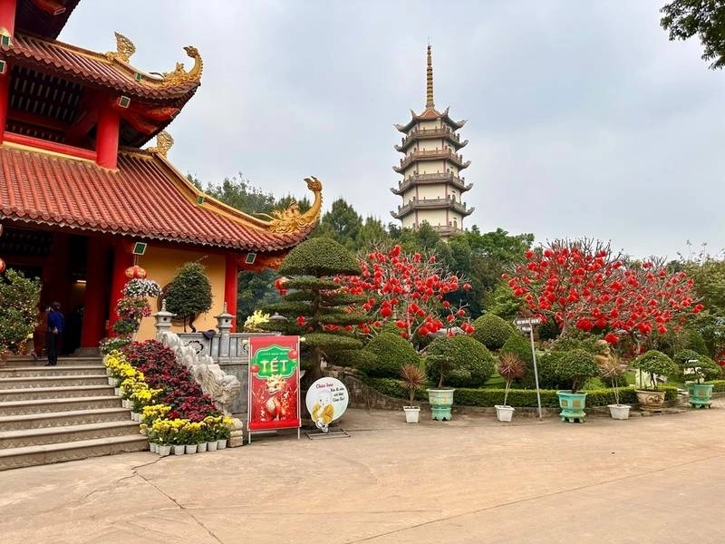 Khoá tu Chùa Khai Nguyên, giúp tăng trưởng trí tuệ và giác ngộ