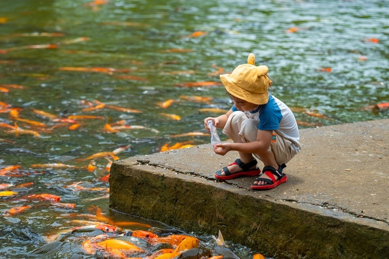 Hình ảnh Chùa Khai Nguyên Sơn Tây, vẻ đẹp thanh bình của ngôi chùa cổ kính