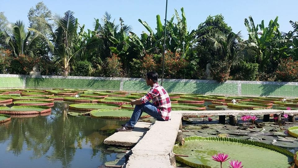 Chùa Lá Sen Đồng Tháp ở đâu, nằm tại huyện Châu Thành