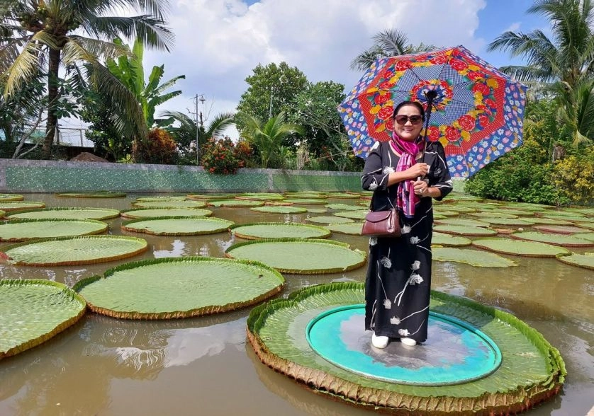 Chùa có lá sen to ở Đồng Tháp, hiếm có khó tìm