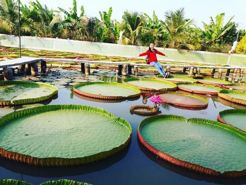 Chùa Lá Sen miền Tây, độc đáo nhất trong các chùa