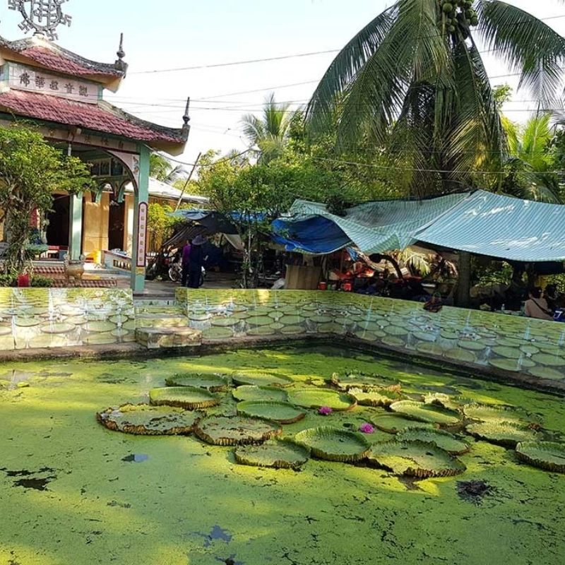 Khám phá chùa Lá Sen, trải nghiệm có một không hai