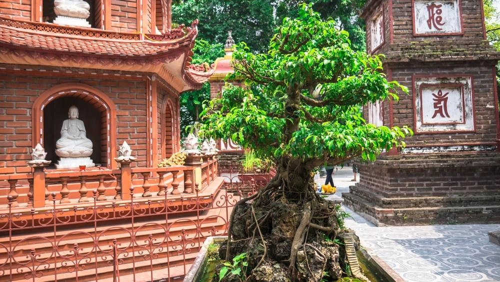 Hình ảnh chùa Trấn Quốc Hà Nội yên bình