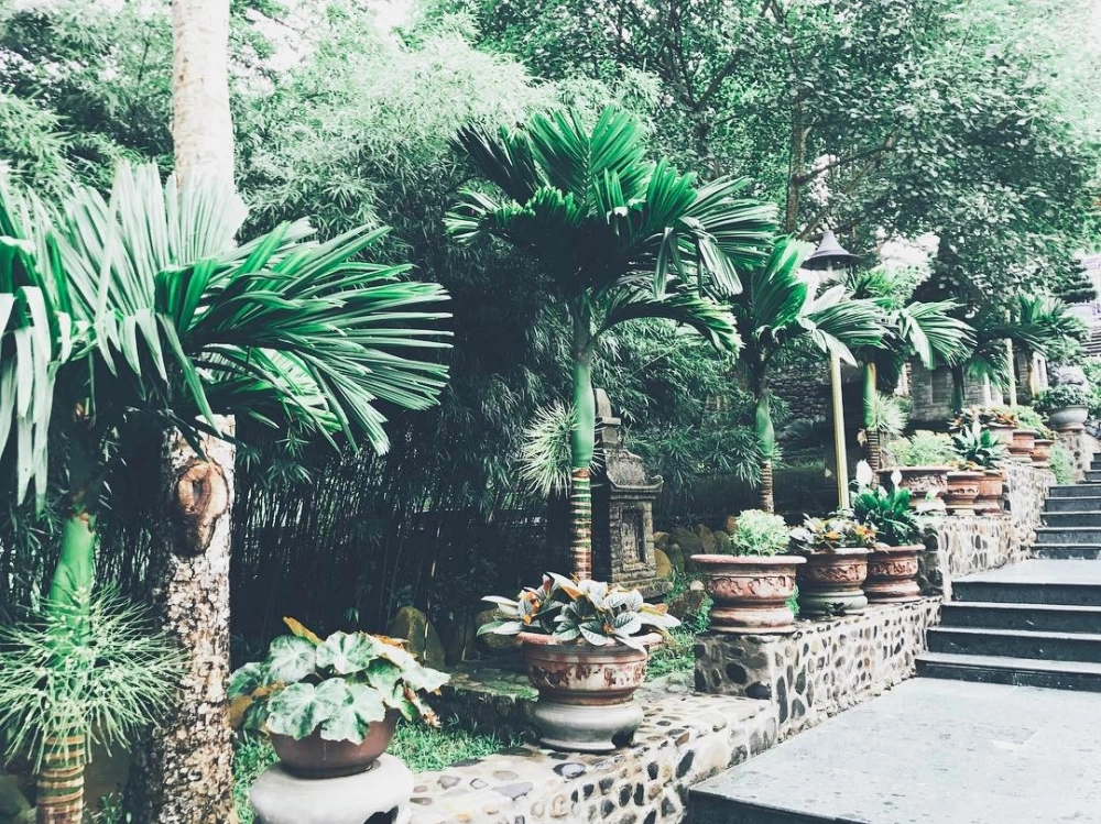 Cảnh đẹp chùa Yên Tử giữa rừng thiêng mây phủ