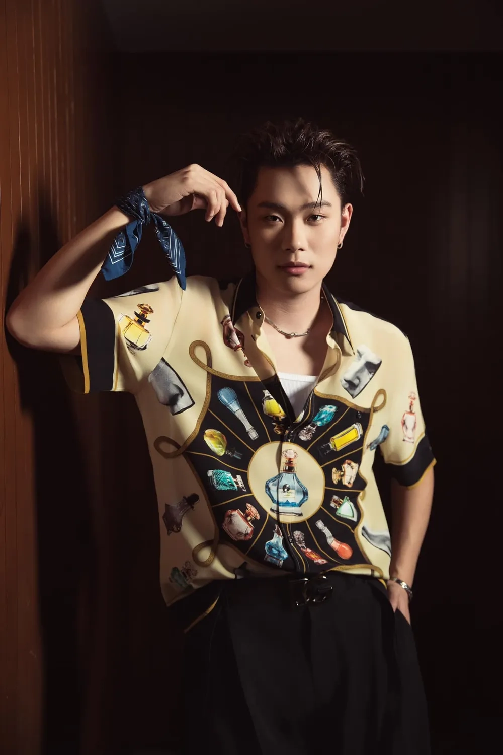 Tuyển tập nổi bật từ album Dương Domic