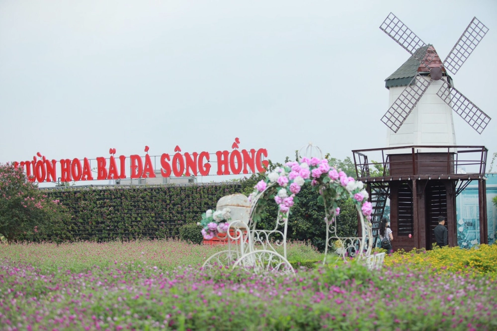 Ngắm hoa tại vườn hoa bãi đá sông hồng đầy sắc màu