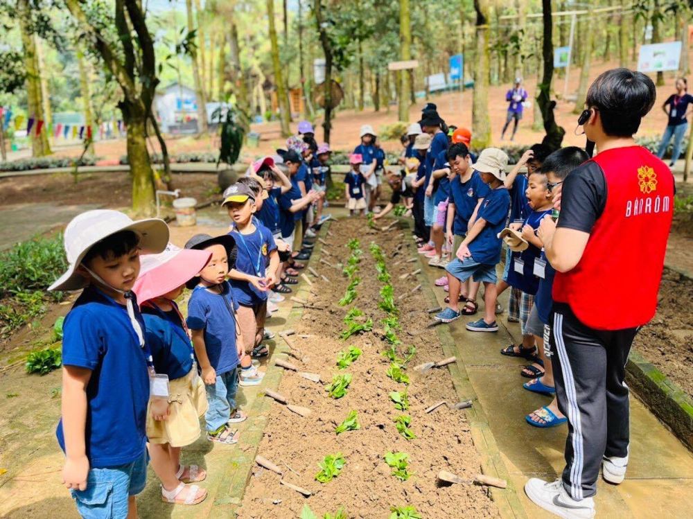 Khu sinh thái Bản Rõm Sóc Sơn Hà Nội nơi hòa mình vào thiên nhiên