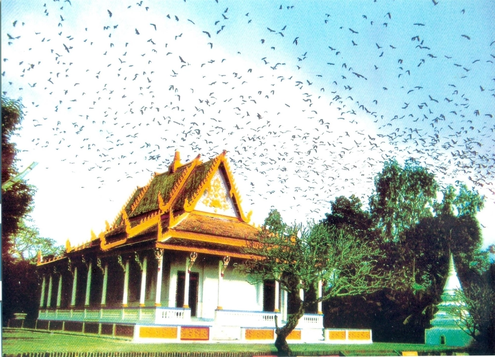 Tìm hiểu chùa dơi nằm ở đâu và vị trí thuận lợi để tham quan