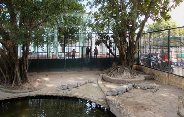 Ghé thăm sở thú công viên thủ lệ và hòa mình vào thiên nhiên