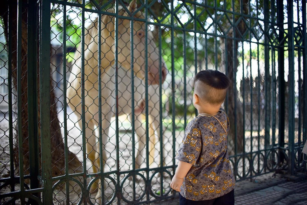 Thông tin mới nhất về công viên thủ lệ giá vé năm nayv