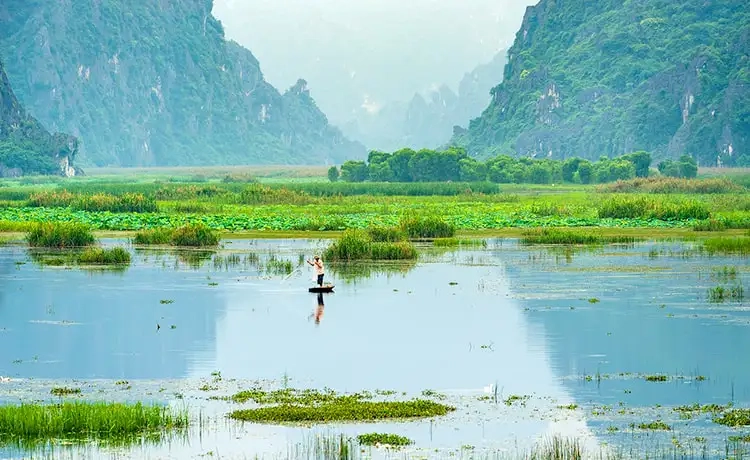 Khu bảo tồn thiên nhiên đầm Vân Long giữ gìn hệ sinh thái hoang dã phong phú