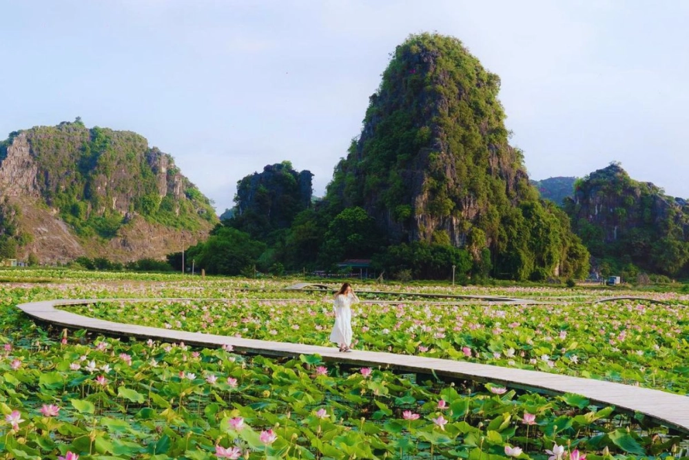 Đầm Sen Vân Long một điểm đến tuyệt vời để thư giãn