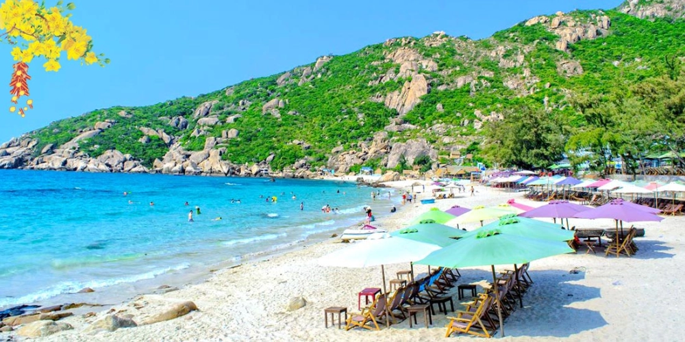 Lên kế hoạch cho chuyến tour du lịch đảo bình ba thú vị