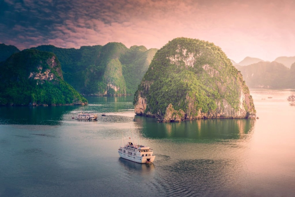 Mẹo di chuyển ra đảo ngọc vừng tiết kiệm chi phí