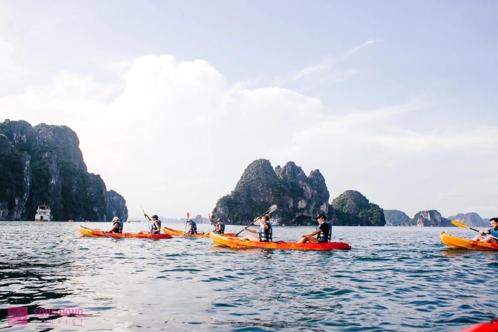 Trải nghiệm những điều mới lạ tại đảo ngọc vừng có gì vui
