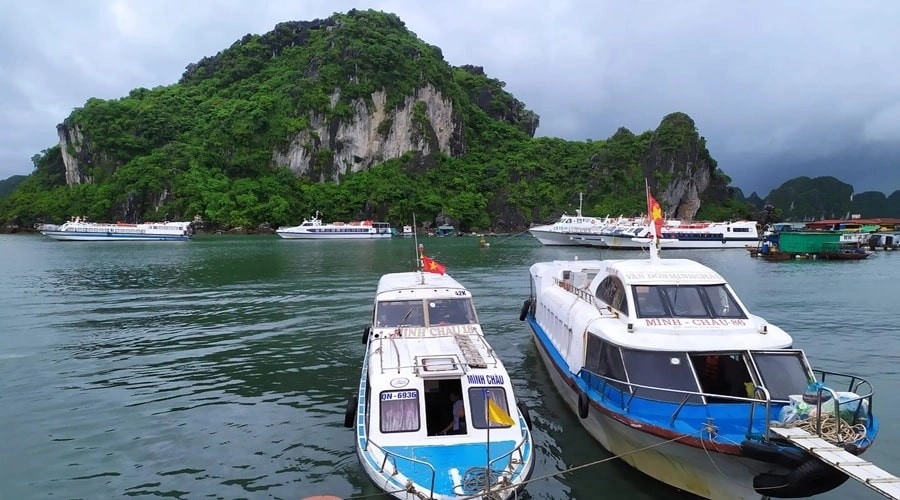 Trải nghiệm những điều mới lạ tại đảo ngọc vừng có gì vui