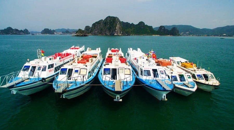 Tàu ra đảo quan lạn chạy nhiều chuyến mỗi ngày