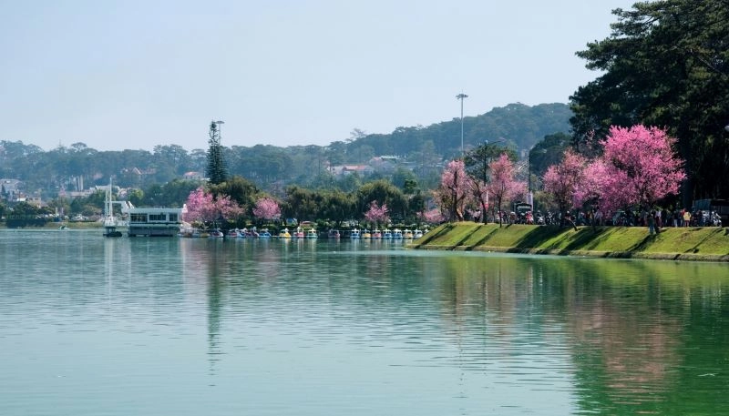 Ngắm cảnh hồ xuân hương đà lạt mơ màng trong làn sương mỏng
