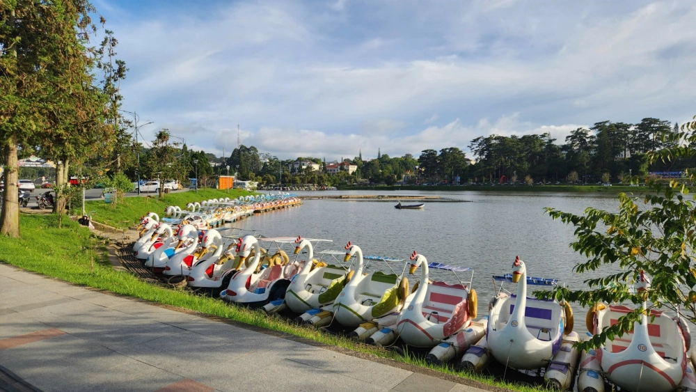 Trải nghiệm đạp vịt hồ xuân hương đà lạt vui nhộn cùng người thân