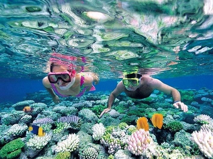 Tour hòn mun hòn tằm sẽ mang lại những trải nghiệm thú vị không thể bỏ qua