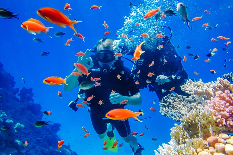 Lặn biển hòn mun nha trang cho bạn cơ hội ngắm san hô kỳ diệu