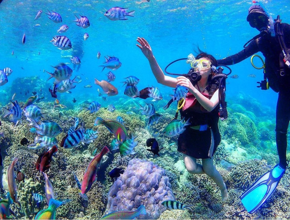 Tour lặn biển hòn mun là lựa chọn hoàn hảo cho các tín đồ yêu thích đại dương