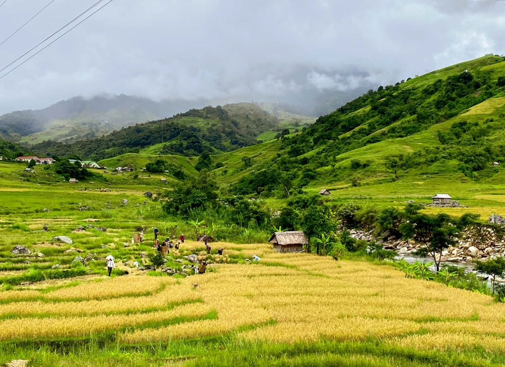 Khám phá núi ngọc linh thuộc cao nguyên nào trong hành trình leo núi