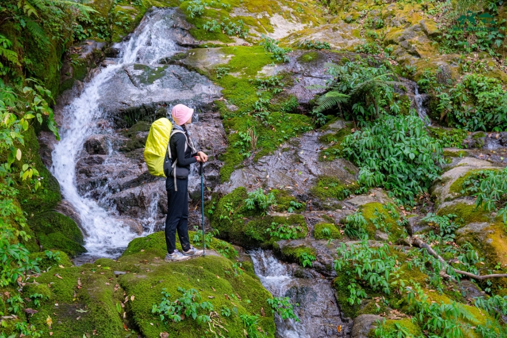 Tham gia tour trekking núi ngọc linh để khám phá thiên nhiên hoang sơ