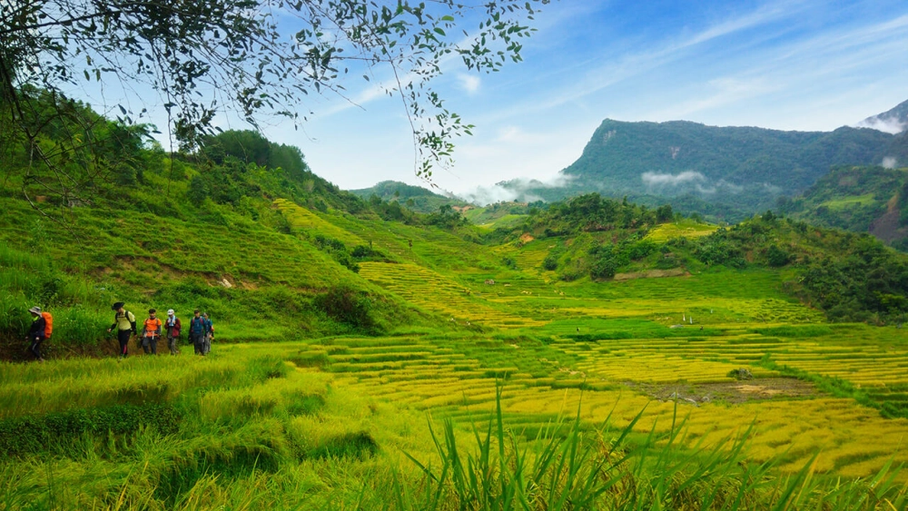 Khám phá núi ngọc linh ở đâu và lý do vì sao nó hấp dẫn