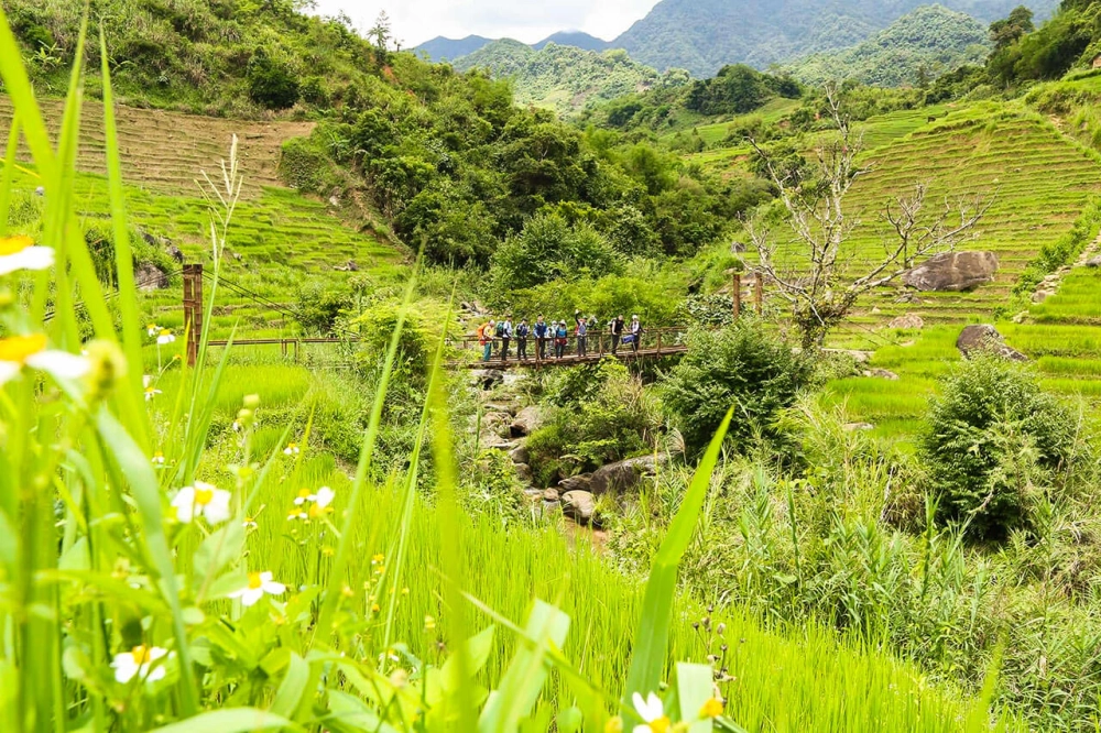 Tìm hiểu về núi ngọc linh 2598m thuộc dãy nào trên bản đồ Việt Nam