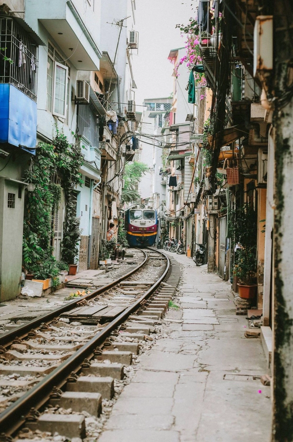 Phố cổ Hà Nội mùa thu đẹp với những tán lá vàng rơi rợp đường phố