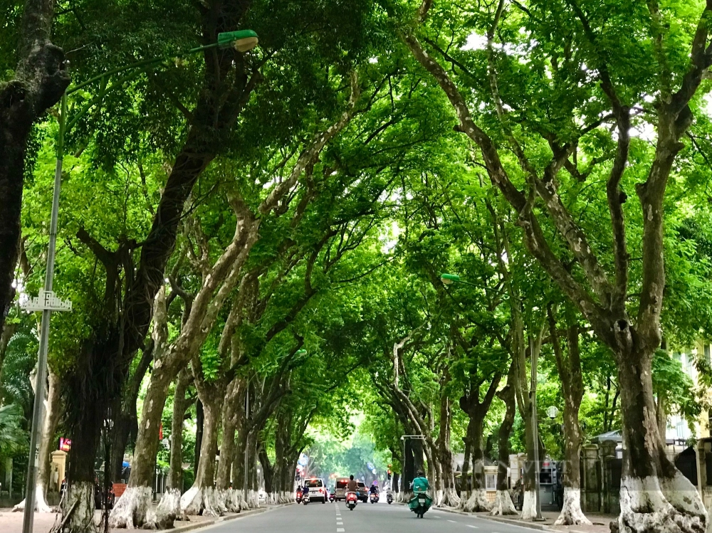Phố phan đình phùng chụp ảnh đẹp vào mọi khung giờ trong ngày