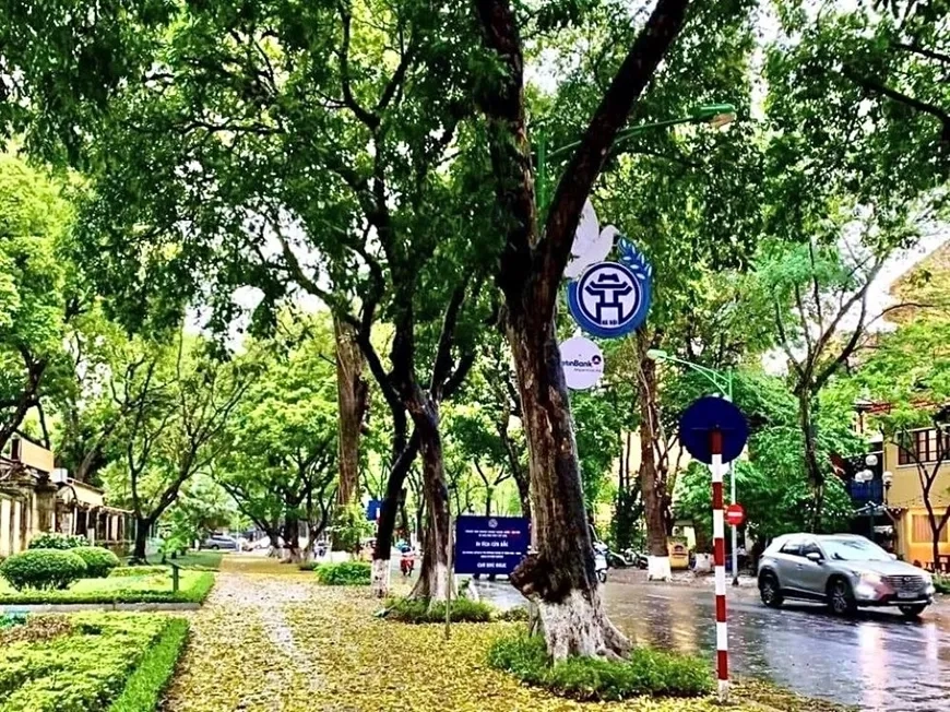 Phố phan đình phùng map hiện lên như dải lụa mềm mại