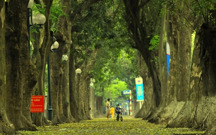 Phố phan đình phùng ở đâu nằm ngay gần Lăng Bác