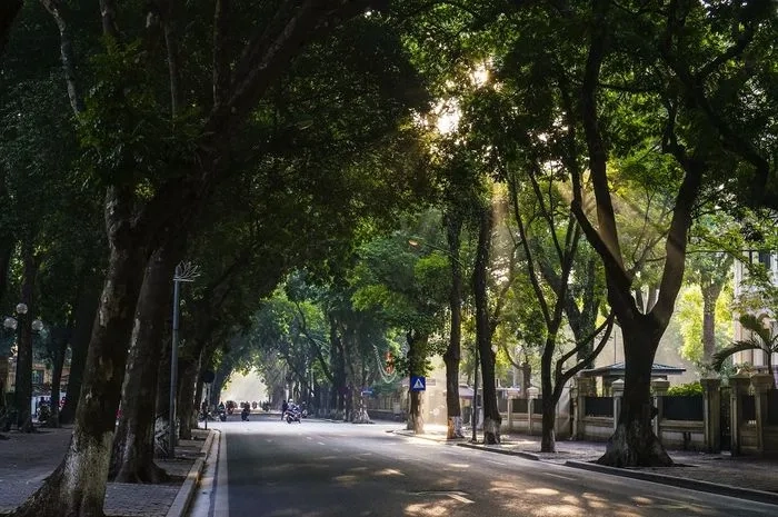 Mùa thu trên phố phan đình phùng luôn là chủ đề ảnh lãng mạn