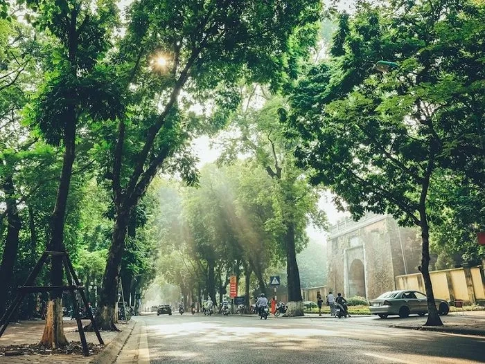 Ảnh phố phan đình phùng mùa thu khiến bao người rung động