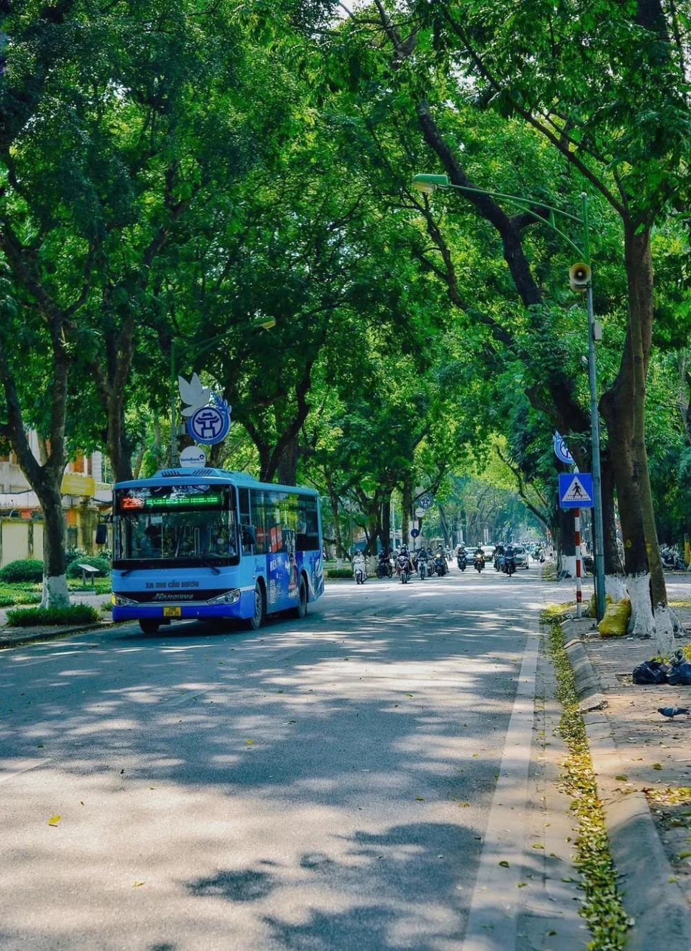 Phố phan đình phùng hà nội đẹp nhất mỗi độ thu về