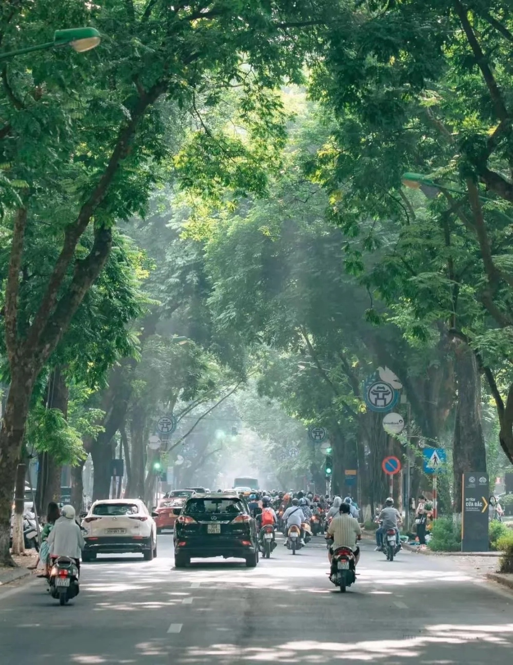 Đường phan đình phùng hà nội là điểm chụp ảnh cực chill