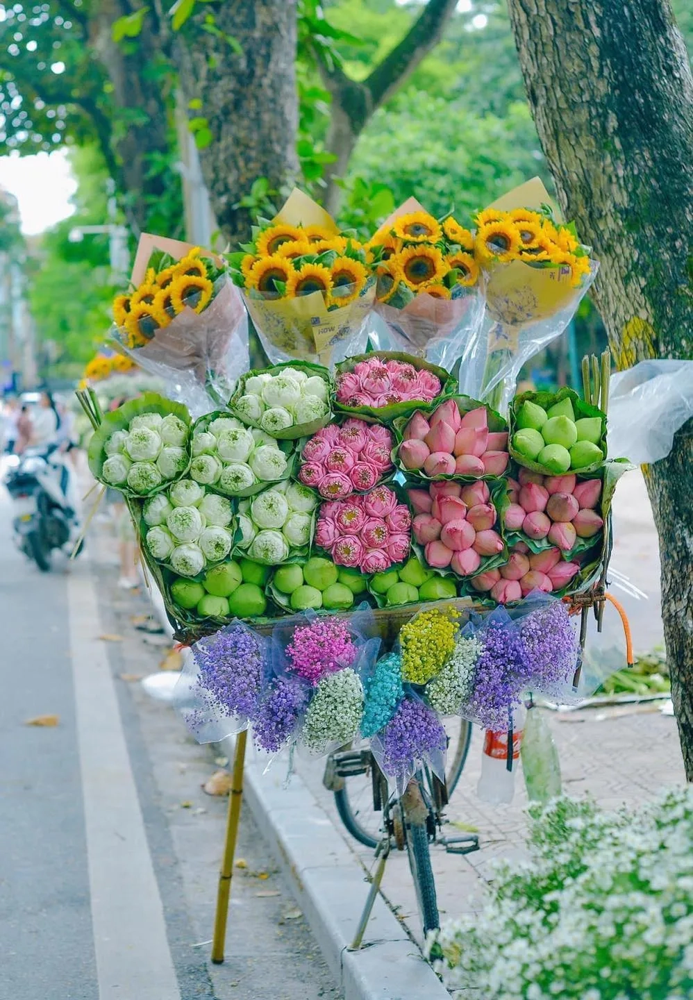 Phố phan đình phùng mùa thu khiến lòng người xao xuyến