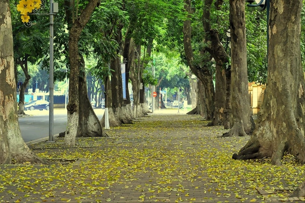 Phan đình phùng street luôn nằm trong top phố đẹp Hà Nội