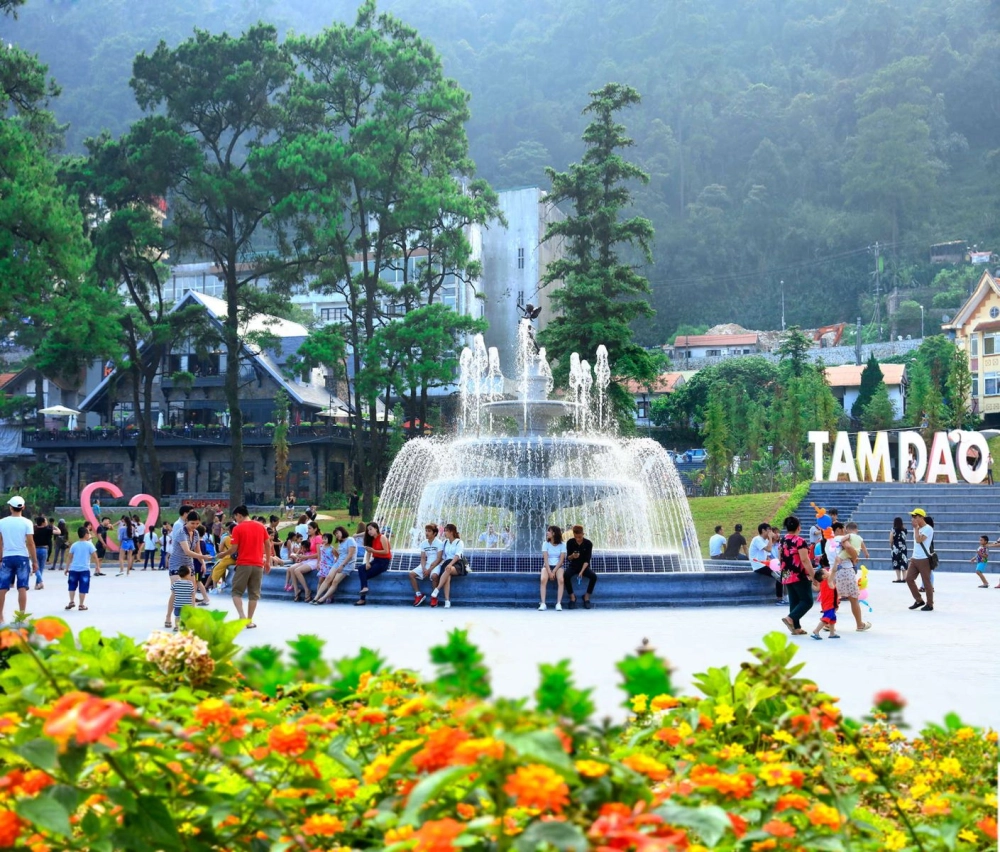 Tam Đảo thuộc tỉnh nào nằm ở Vĩnh Phúc gần Hà Nội