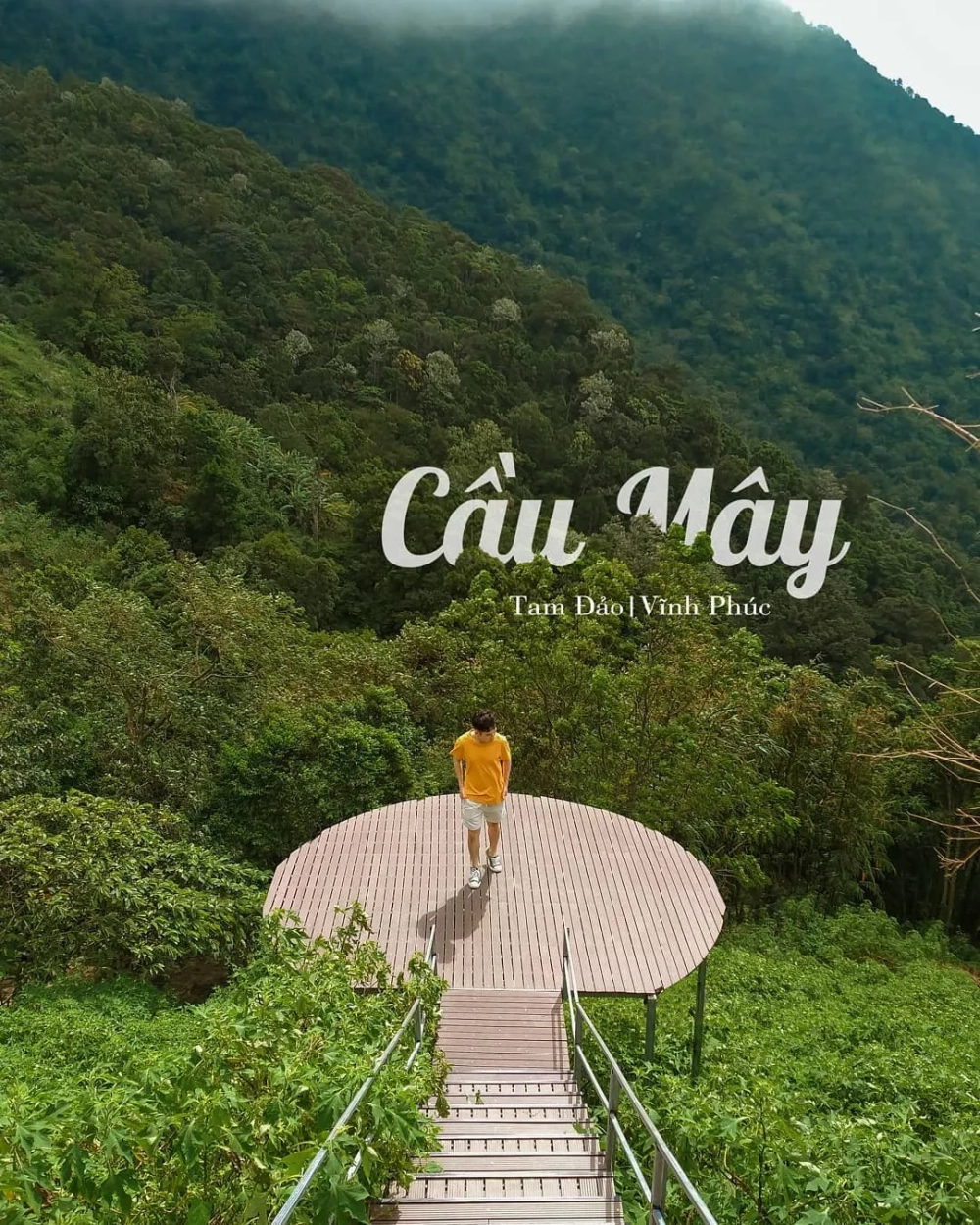 Săn mây Tam Đảo thời điểm lý tưởng là sáng sớm tinh mơ