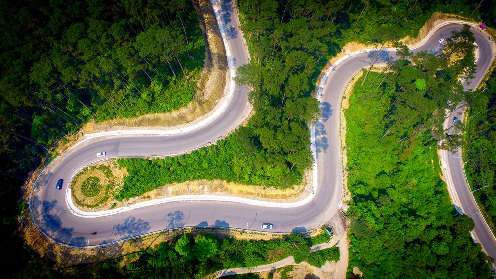 Chơi gì ở Tam Đảo từ leo núi đến khám phá quán cà phê